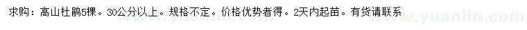 求購(gòu)30公分以上高山杜鵑