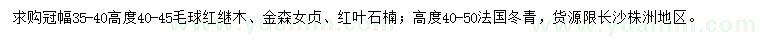 求購紅繼木、金森女貞、紅葉石楠毛球