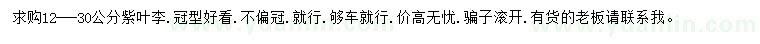 求購12-30公分紫葉李