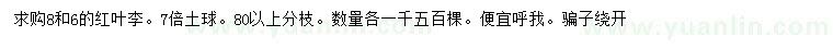 求購8、6公分紅葉李