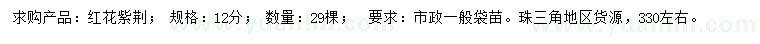 求購12公分紅花紫荊