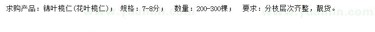 求購(gòu)7-8公分錦葉欖仁