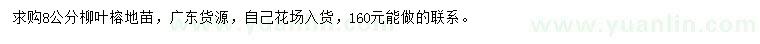 求購8公分柳葉榕