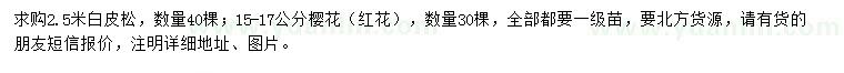 求購2.5米白皮松、15-17公分櫻花