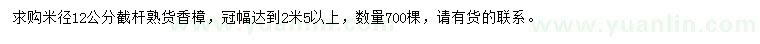 求購米徑12公分香樟