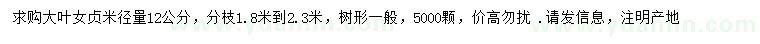 求購米徑12公分大葉女貞