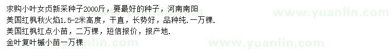 求購小葉女貞、美國紅楓、金葉復(fù)葉槭