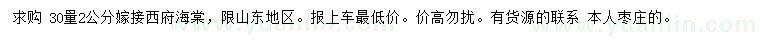 求購(gòu)30量2公分嫁接西府海棠