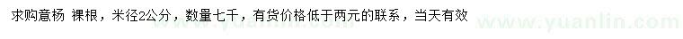 求購米徑2公分意楊