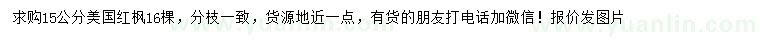 求購15公分美國紅楓