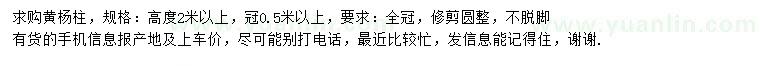 求購高2米以上黃楊柱