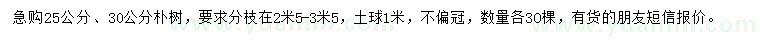 求購25、30公分樸樹