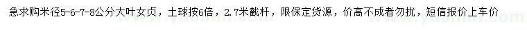 求購(gòu)米徑5-8公分大葉女貞