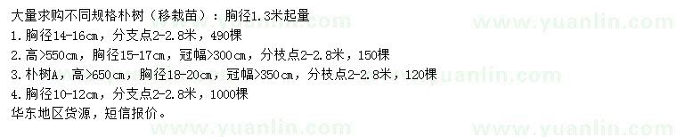 求購胸徑10-20公分樸樹