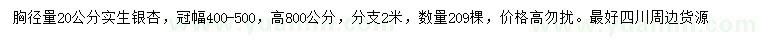 求購20公分實生銀杏
