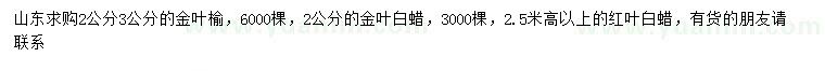 求購(gòu)金葉榆、金葉白蠟、紅葉白蠟