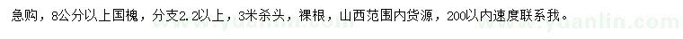 求購8公分以上國槐