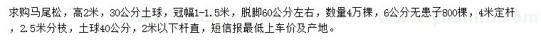 求購高2米馬尾松、6公分無患子