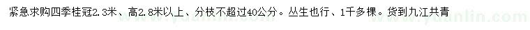 求購冠2.3米四季桂