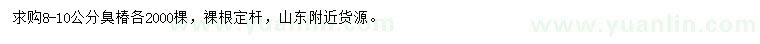 求購8-10公分臭椿