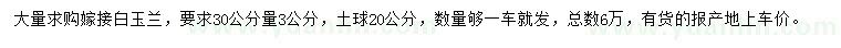 求購30公分量3公分白玉蘭