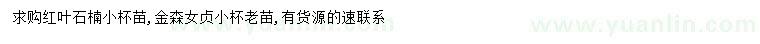 求購紅葉石楠小杯苗、金森女貞小杯老苗