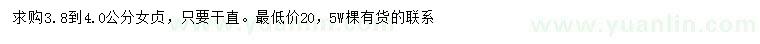 求購3.8-4公分女貞