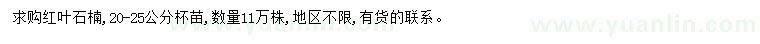 求購20-25公分紅葉石楠