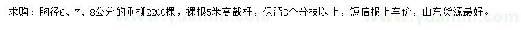 求購胸徑6、7、8公分垂柳