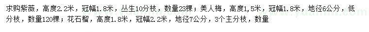 求購(gòu)紫薇、美人梅、花石榴等