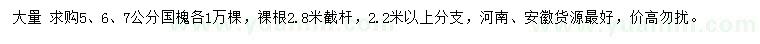 求購5、6、7公分國槐