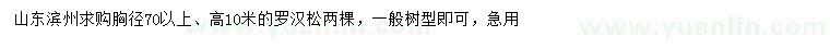 求購胸徑70公分以上羅漢松