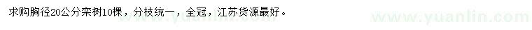 求購胸徑20公分欒樹