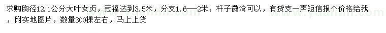 求購胸徑12.1公分大葉女貞