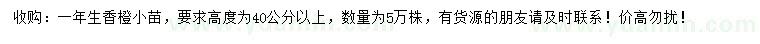 求購高40公分以上香橙小苗