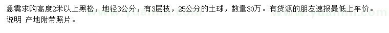 求購高2米以上黑松