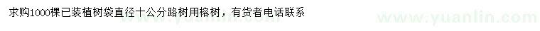 求購(gòu)直徑10公分榕樹
