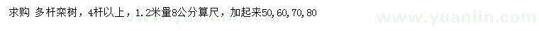 求購1.2米量8公分欒樹