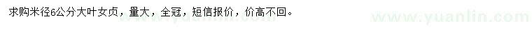 求購(gòu)米徑6公分大葉女貞