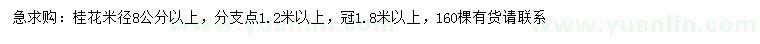 求購(gòu)米徑8公分以上桂花
