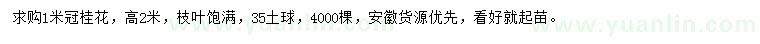 求購冠1米桂花