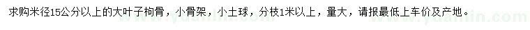 求購米徑15公分以上枸骨