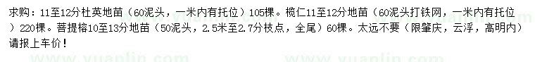 求購杜英、欖仁、菩提榕