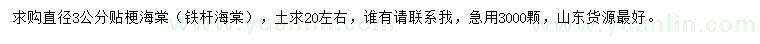 求購直徑3公分貼梗海棠