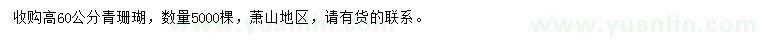 求購(gòu)高60公分青珊瑚