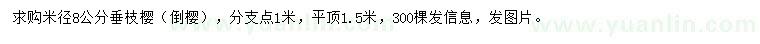 求購(gòu)米徑8公分垂枝櫻