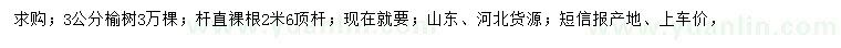 求購3公分榆樹