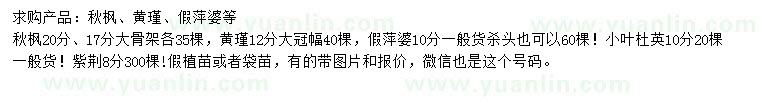 求購(gòu)秋楓、黃槿、假萍婆等