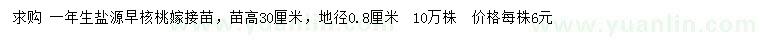 求購高30公分核桃苗