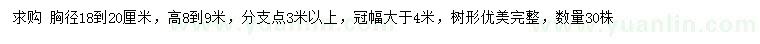 求購胸徑18-20公分樸樹
